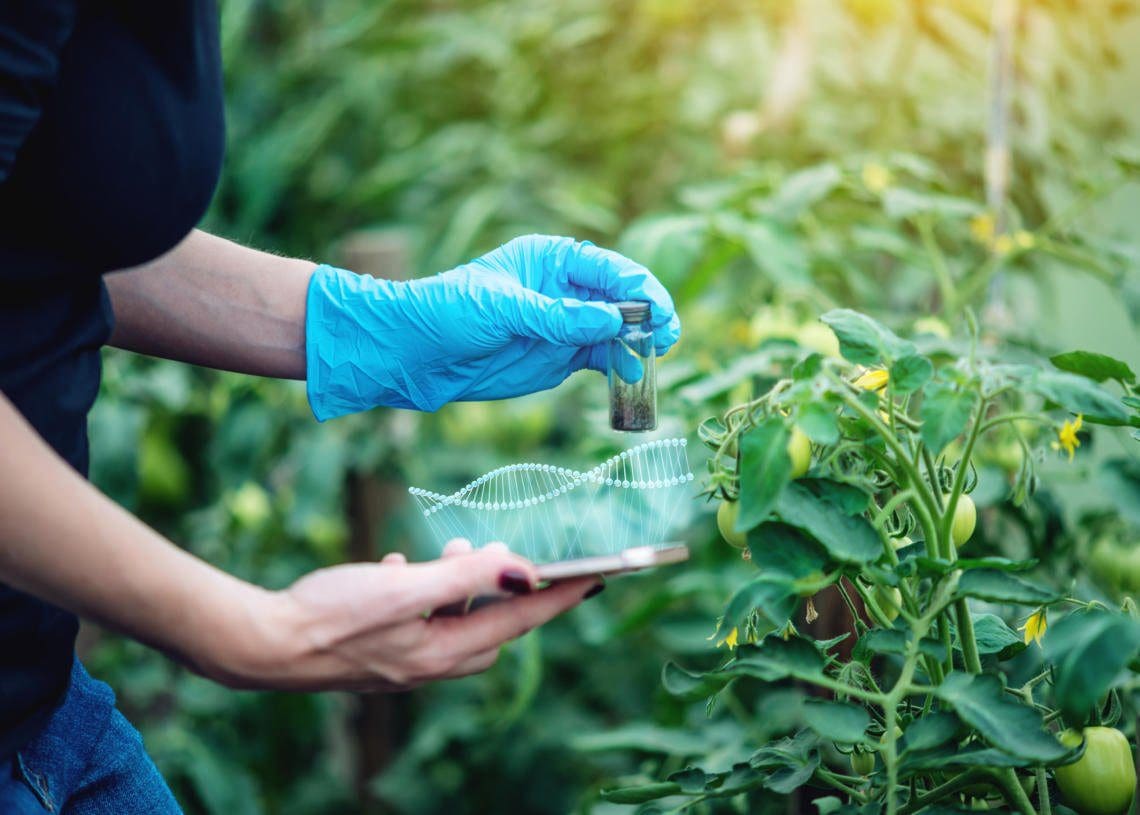 10: 食品の遺伝子組み換えは新しい