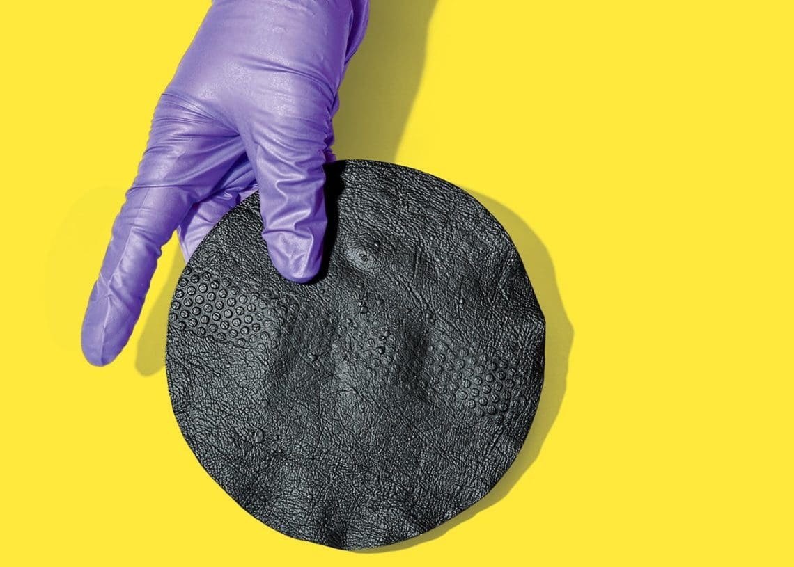 水生動物の呼吸方法 - 水生動物の皮膚呼吸または皮膚呼吸