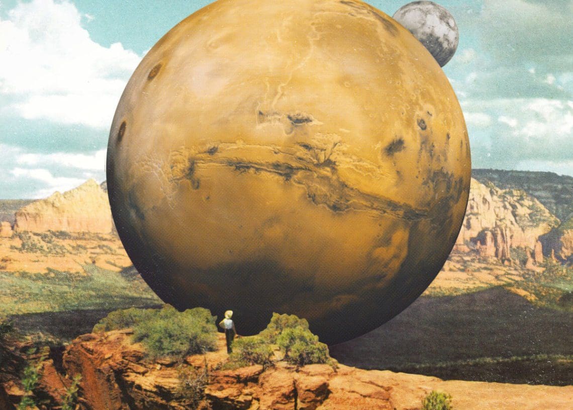 生態系の多様性: その概要と例 - 生態系の種類