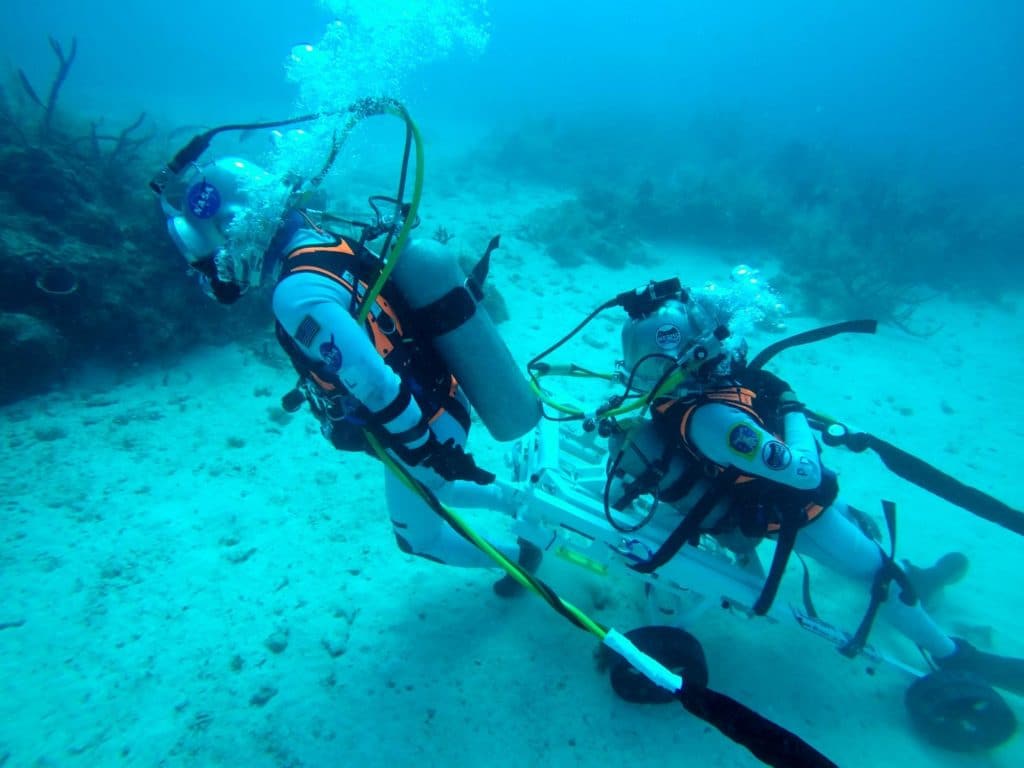 LESA - 2 space stretcher