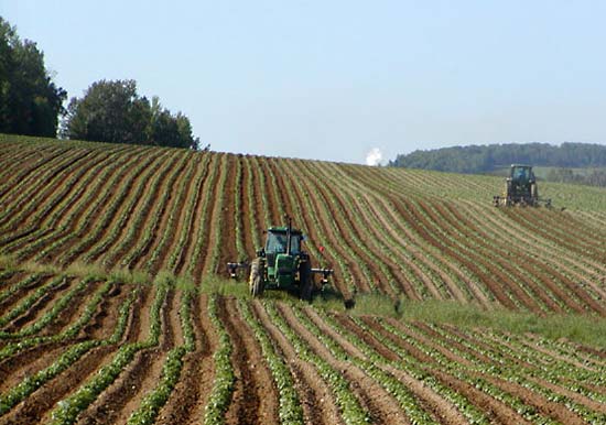 Crisi alimentare, coltivazioni intensive