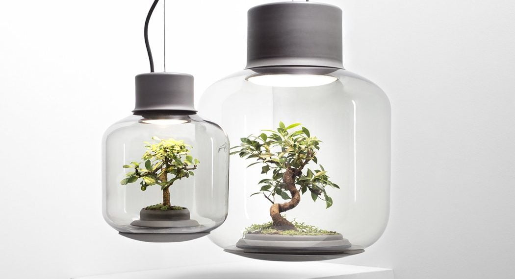 Mygdal Plantlam, la lampe- plante pour vos intérieurs sans fenêtre !