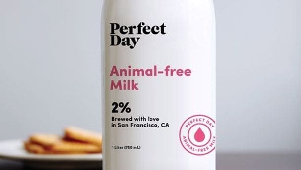 Perfect Day vegan animal free milk a gamechanger