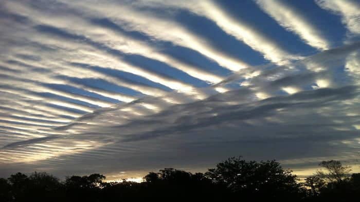 Chemical clouds
