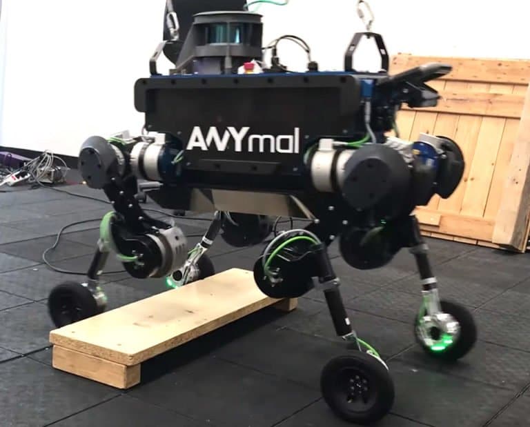 Anymal Hybridroboter 1 768x619