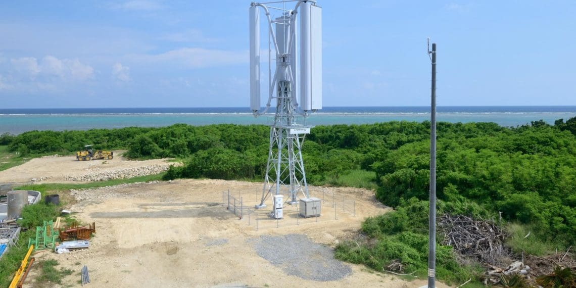 熱を吸収する植物