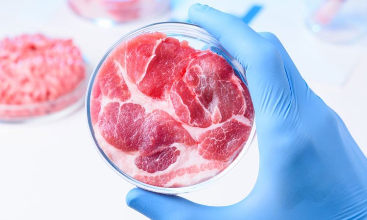 carne stampata in 3D
