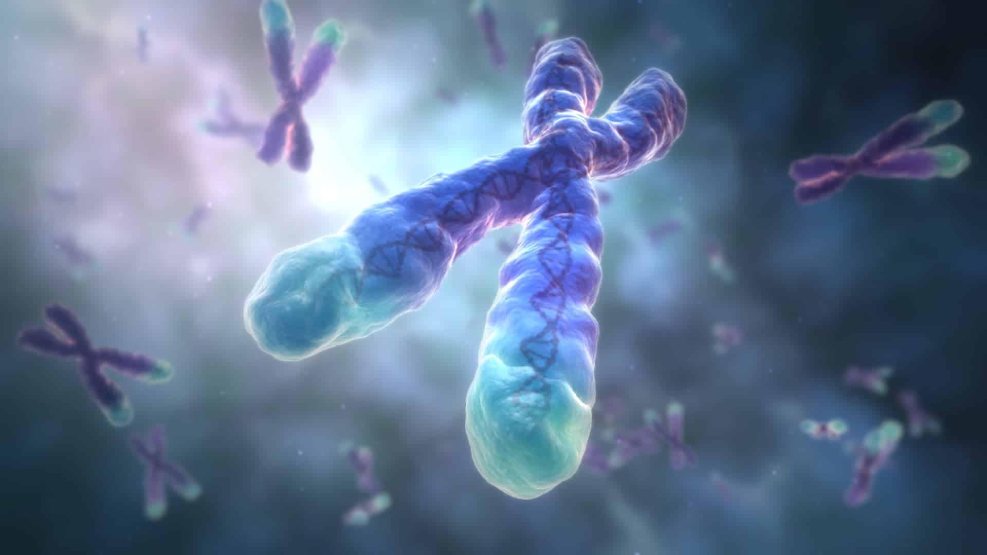 telômero do cromossomo chd 130320 01