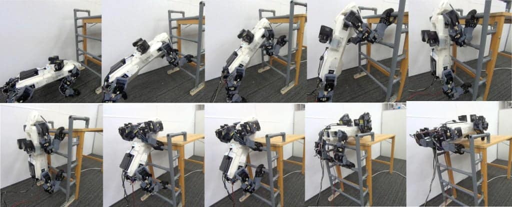 Quadruped robots