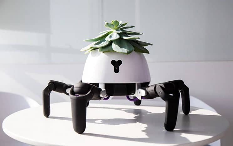 cambio de tamaño de planta robot hexa md