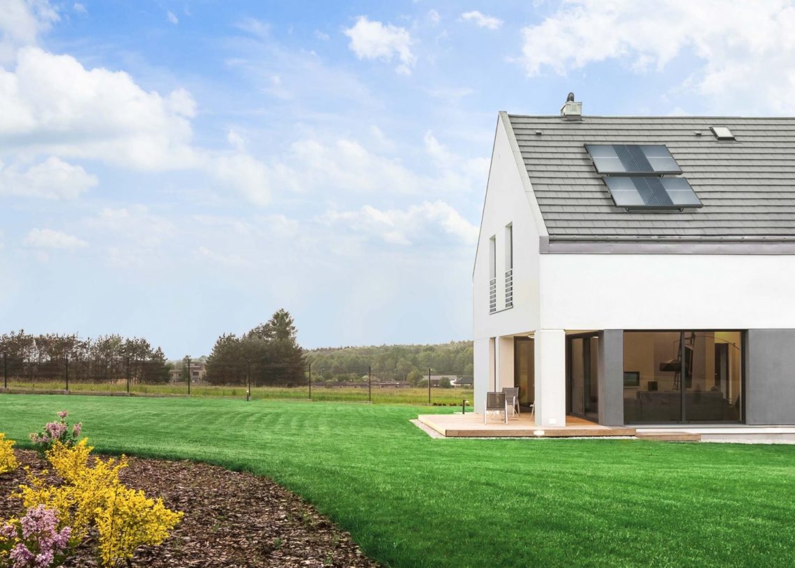 フラミンゴが危険な水でアフリカの湖を支配