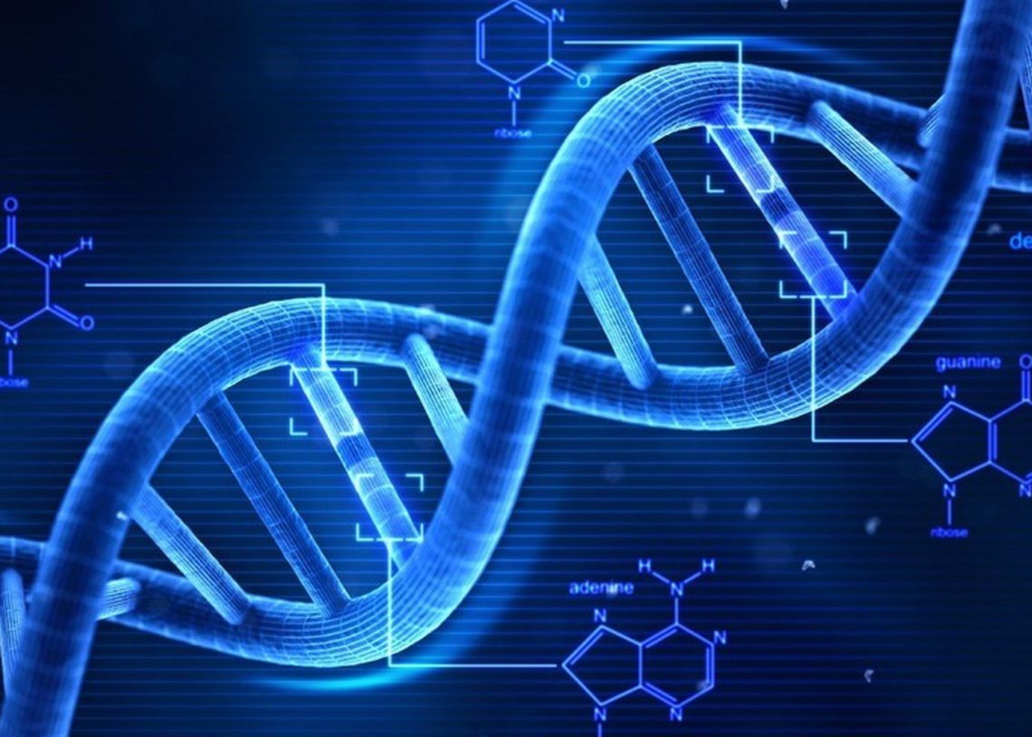 Un Computer Di DNA Pu Calcolare La Radice Quadrata Di Numeri Fino A 900