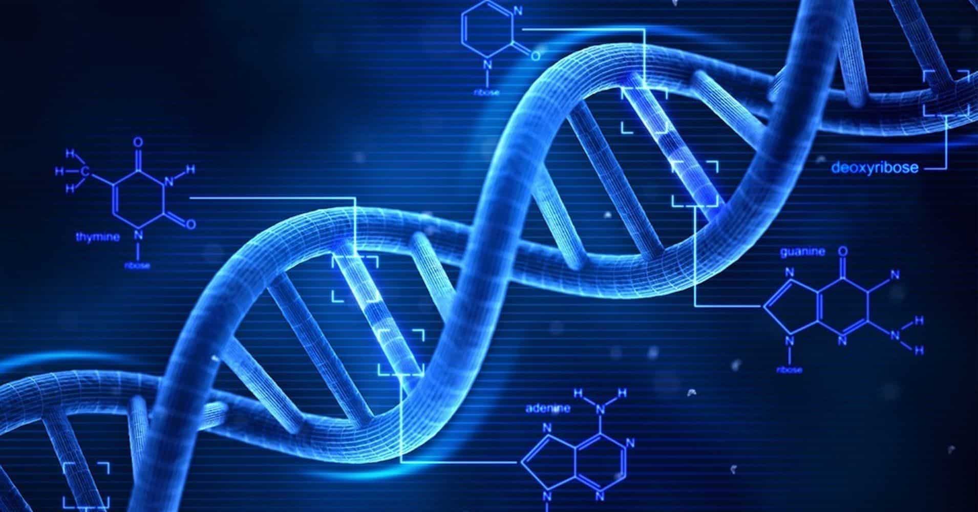 DNA-Berechnung