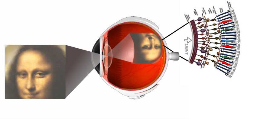 Bionic eye