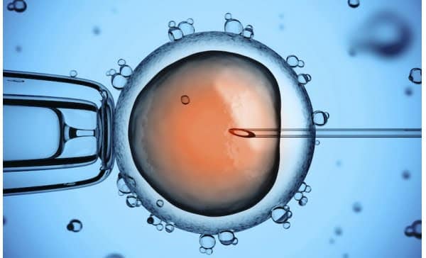 In vitro fertilization also in Asti 57a585ba5d1de1