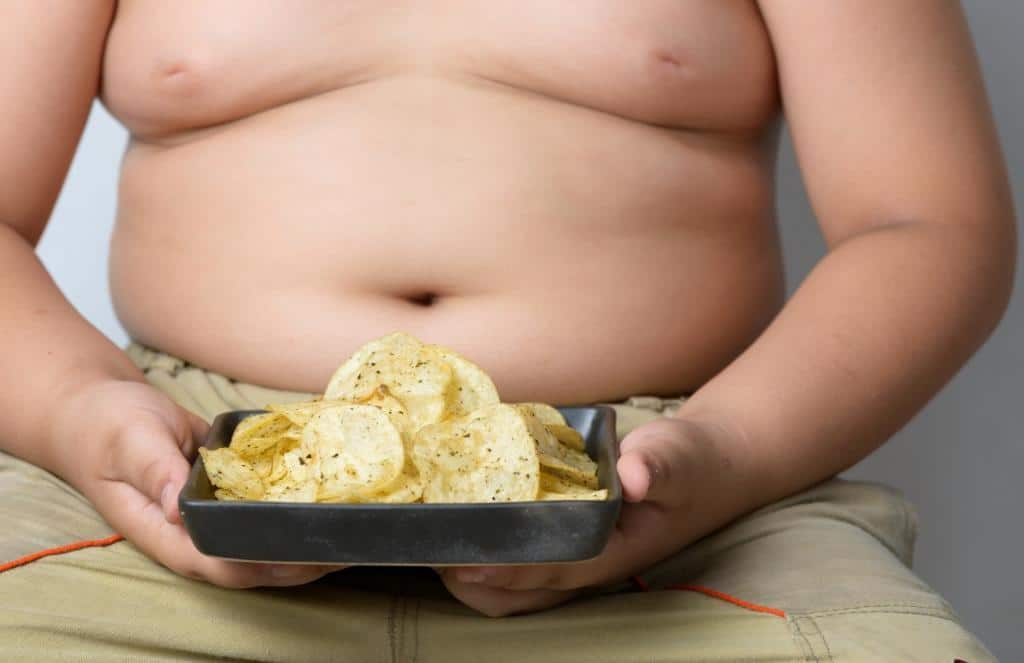 Fettleibigkeit bei Kindern1 1 orig