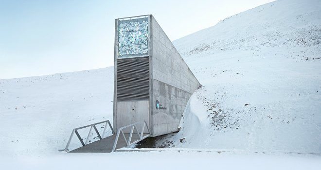 Good svalbard news