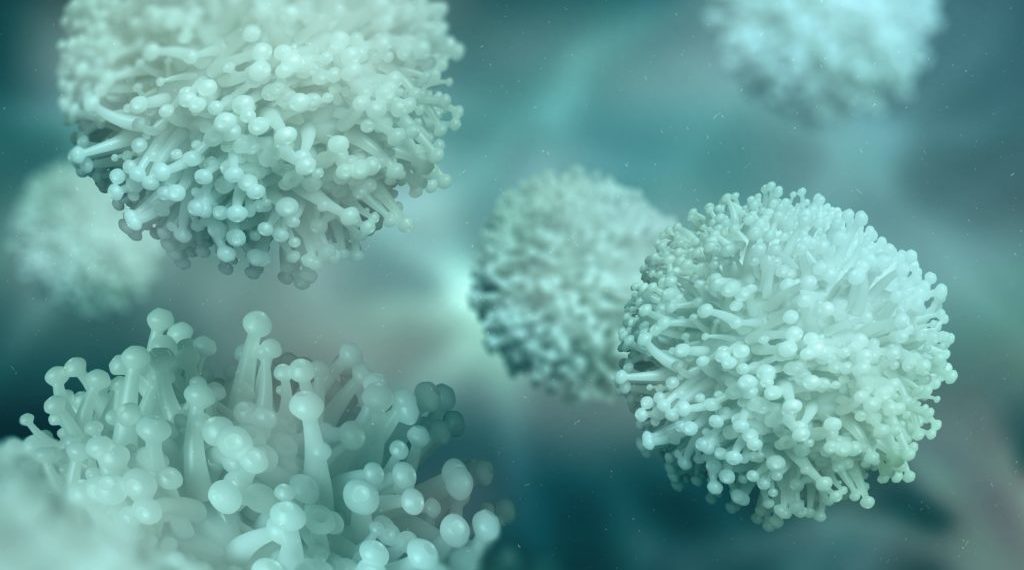Biohybrid lebende Batterie mit exoelektrogenen Bakterien