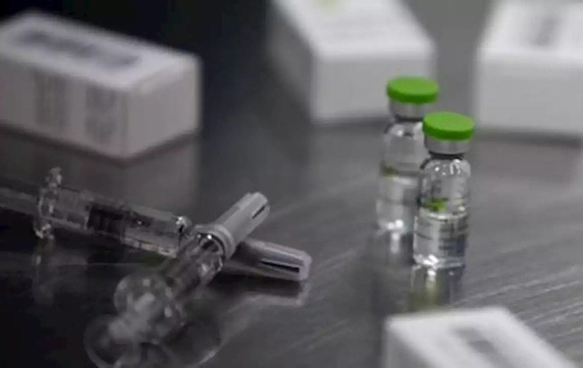 木の利点 - 木は動物を保護し、避難所を提供します