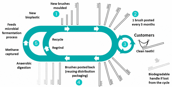 Brosse à dents écologique Reswirl