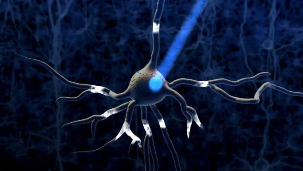 Neue Technologien, Optogenetik