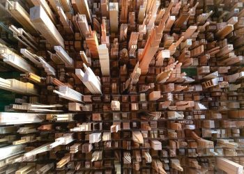Holz und Holz, die Zukunft in Italien ist Wiederverwendung und Recycling
