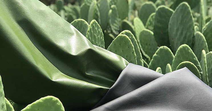 Cuir et cuir de cactus sans cruauté