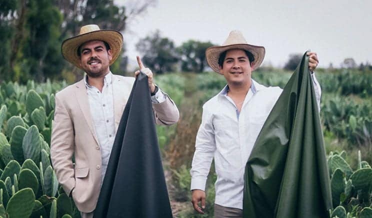 Cuir et cuir de cactus sans cruauté