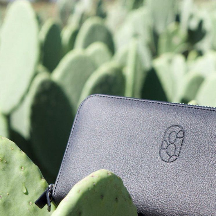 Cuir et cuir de cactus sans cruauté