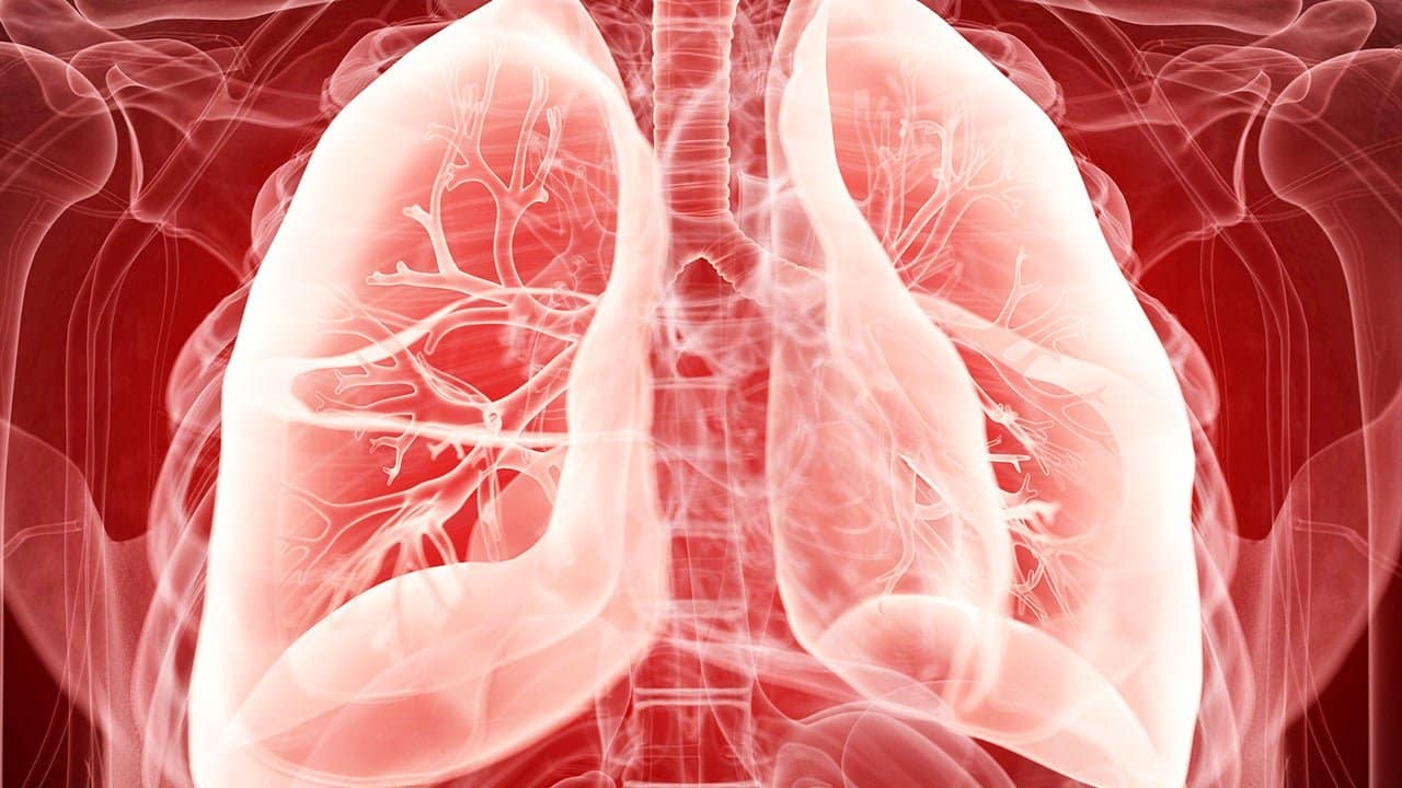 052520 lungs 1280x720 1