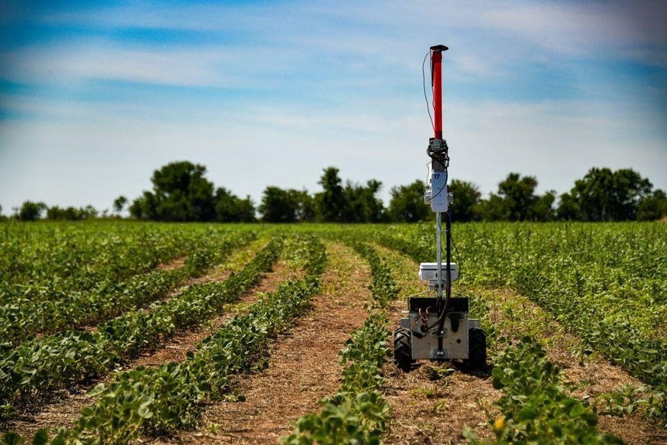 Robot anti erbacce Greenfield per evitare i pesticidi 