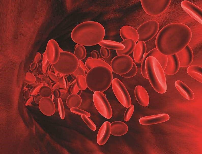 Células de sangre