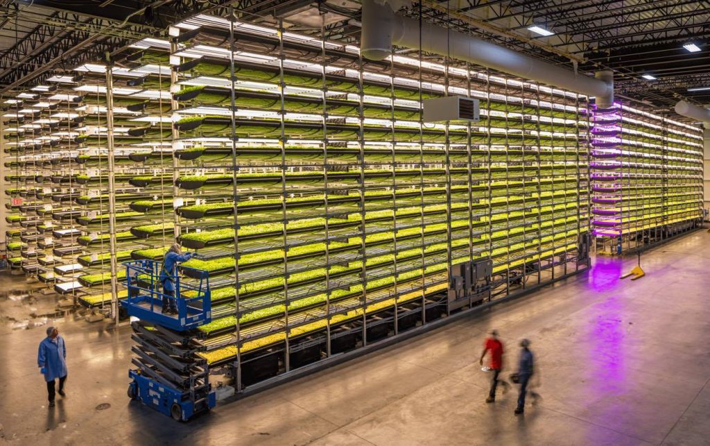 Aerofarms, vertical farms against food inequalities