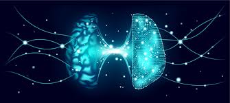 Futuro transumano e cyber immortalità