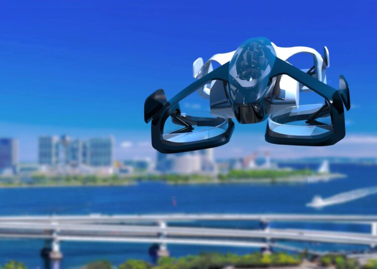 オーストラリアで「空飛ぶ」イルカがスタンドアップパドルボーダーを転落させる