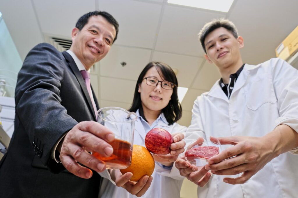 Plant-based food preservatives