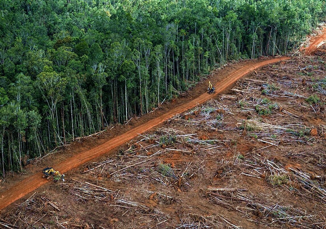 Deforestación amazónica