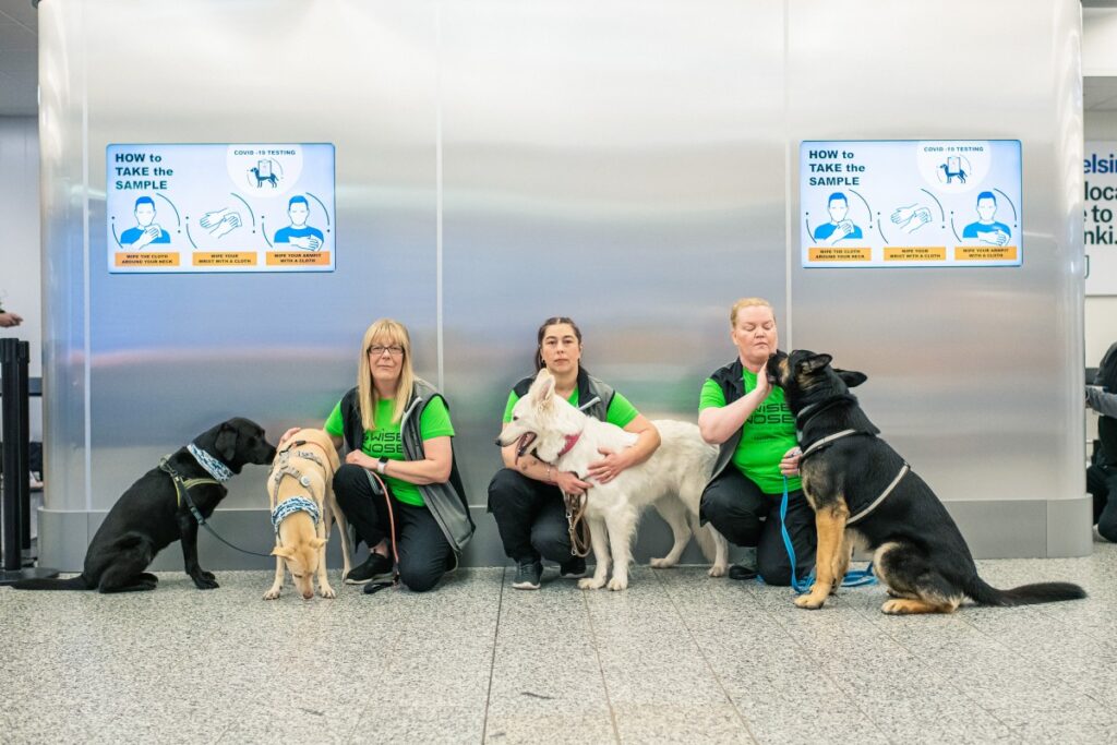 Hunde schnüffeln Covid am Flughafen Helsinki in Finnland