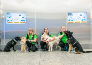 Cães farejando Covid no aeroporto de Helsinque, na Finlândia