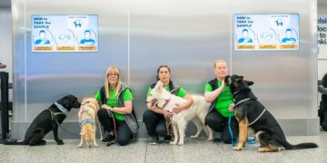 Dogs sniffing Covid at Helsinki Airport in Finland