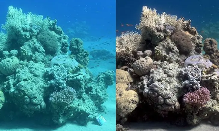 Sea-thru, algoritmo che rimuove l'acqua dalle foto subacquee 
