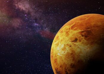 alien life on Venus davinci