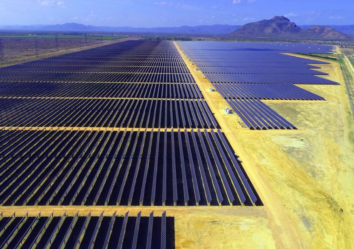 クジラには歯がありますか? - クジラには歯やヒゲはありますか?