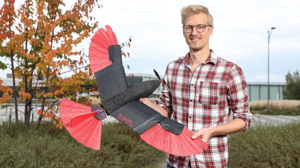 Dron de aves