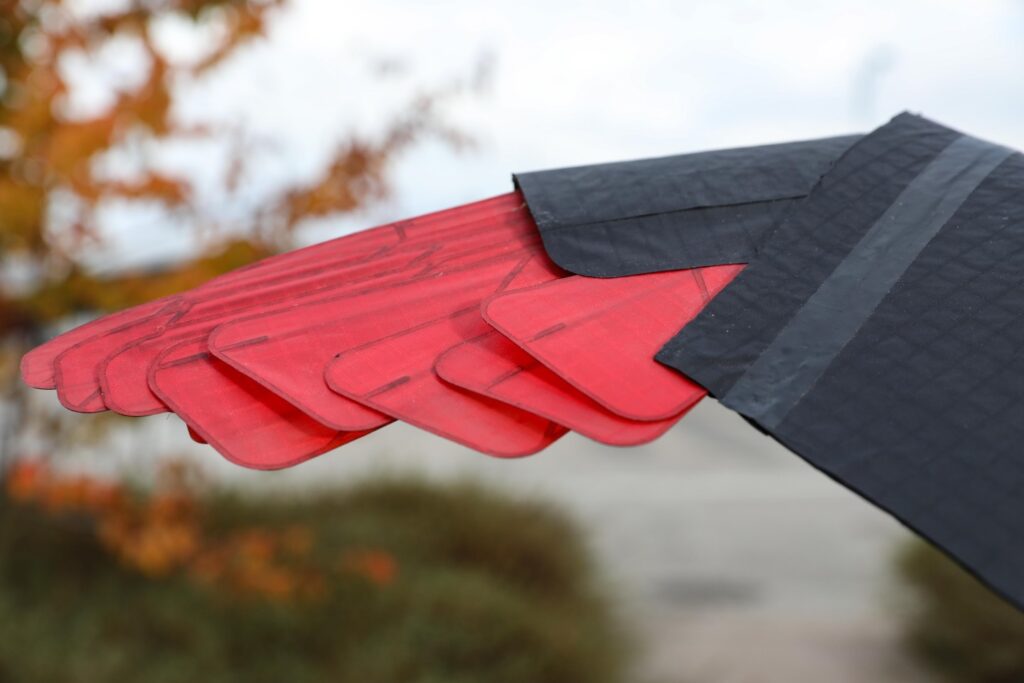 Drone uccello EPFL