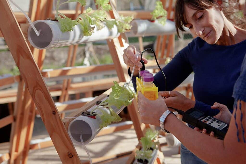 Jellyfish Barge, une serre modulaire flottante contre la crise alimentaire