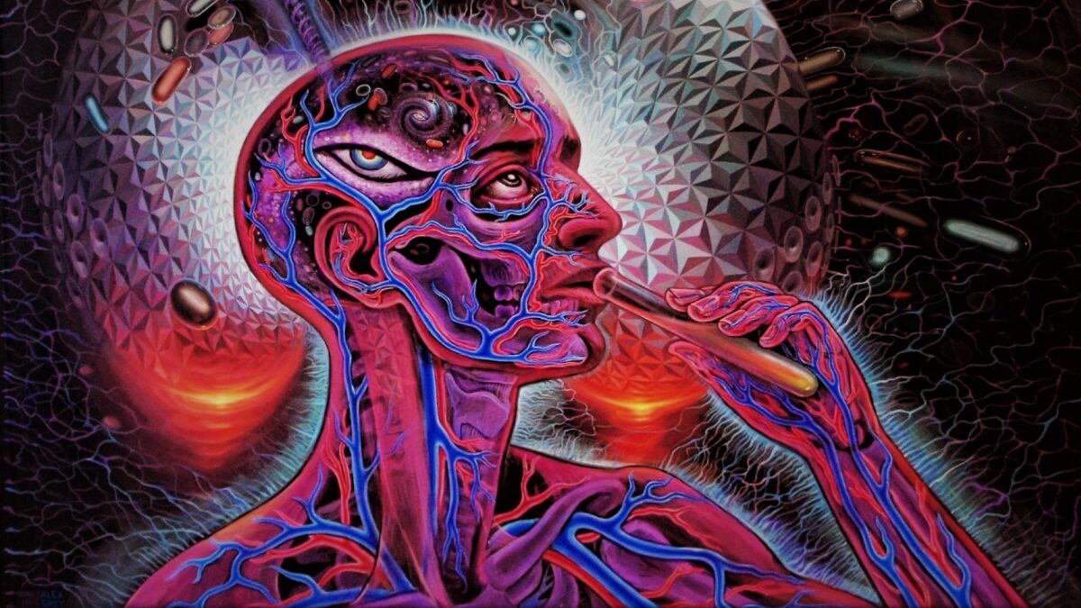 サイケデリックな薬であるdmtは 新しい脳細胞の作成を促進します