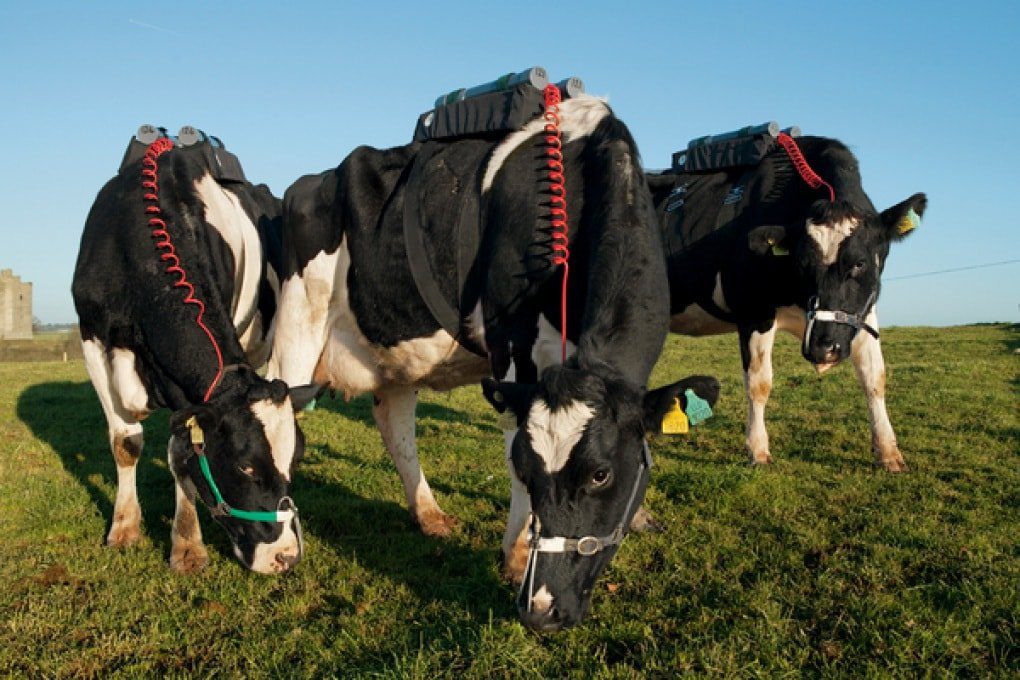 food trend 2021 proteine carbon negative