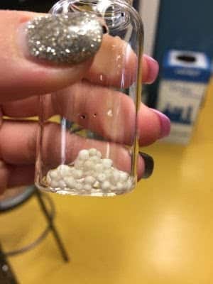 Superschwamm mit Muschelabfällen für ein sauberes Meer