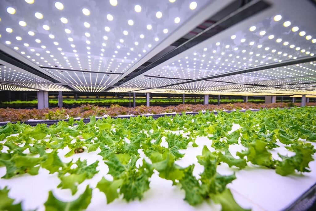 vertical farms Taastrup